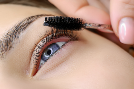 Eyelash Tinting/Lash Lifting